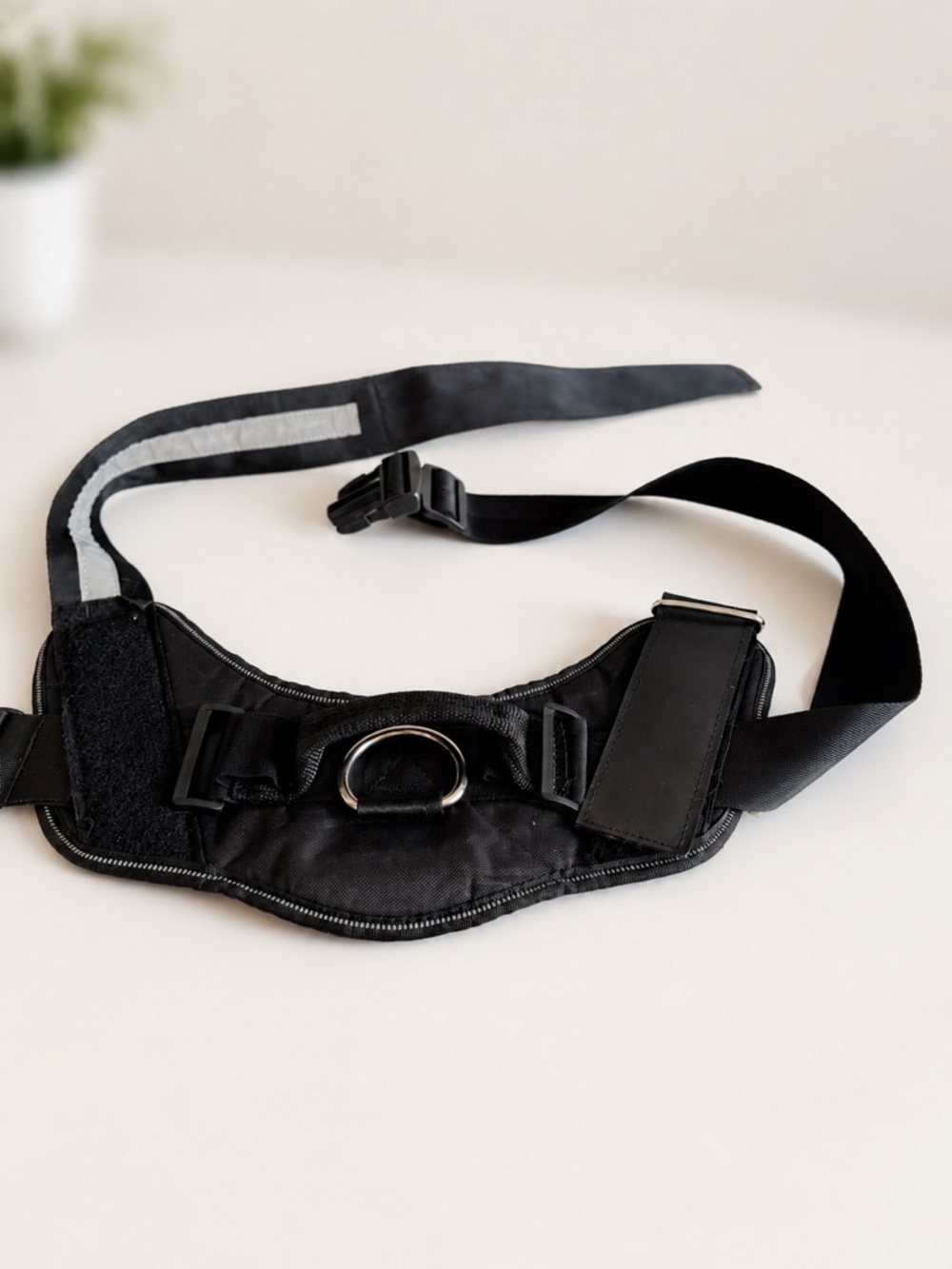 Black Dog Harness